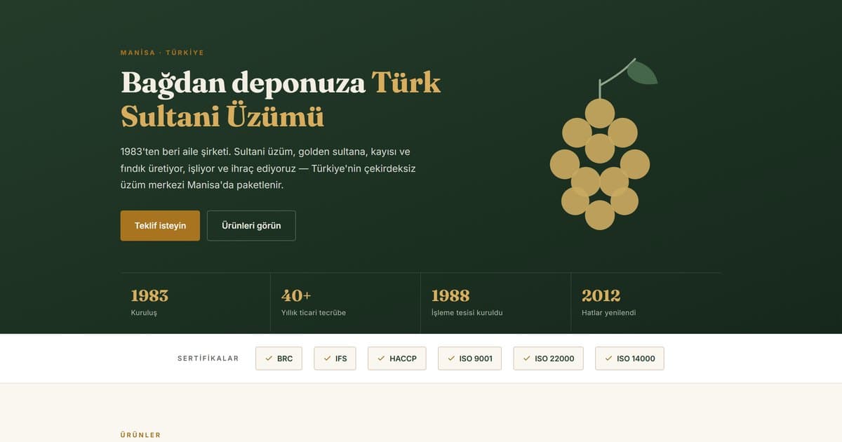 Kuru Meyve İhracatı — Site Konsepti